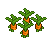 Carrot Patch