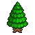 Noble Fir Tree