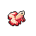 Betta Fish