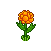 Marigold Plant