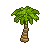 Coconut Palm Tree