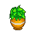 Small Potted Plant