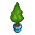 Topiary Plant