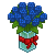 Blue Roses